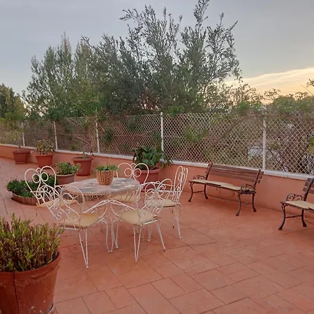 Marovi Bonalba 알리칸테